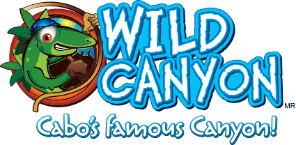 Wild Canyon Adventures | Los Cabos